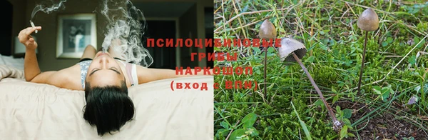 молекула духа Вязьма