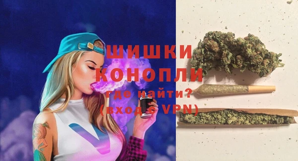 spice Вяземский